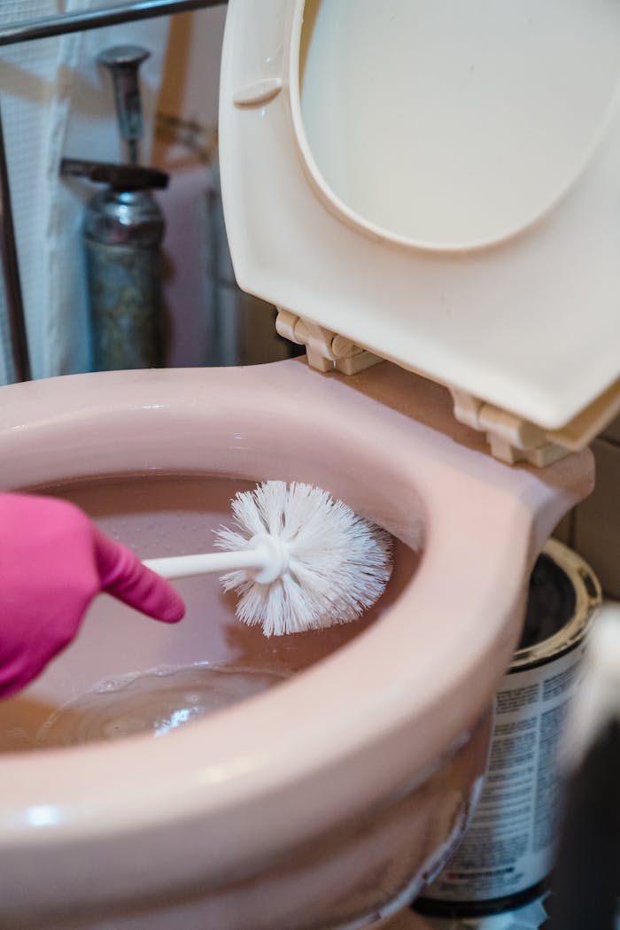 Using a Brush to Clean the Toilet